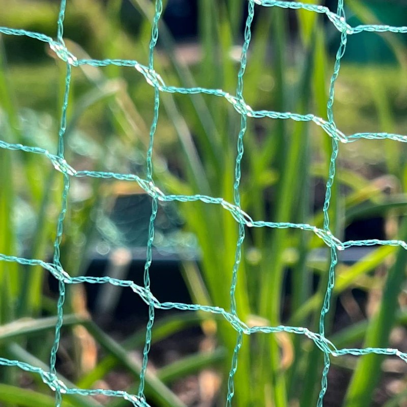 Bird Netting Garden Mesh for Strawberry Fruit Protection Raised Beds