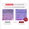 Centellian24 [Centellian24]Madeca Cream Time Value Set (50mlX2ea + 15mlX3ea)