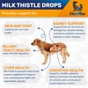 Milk Thistle for Dogs & Cats – Liver Support for