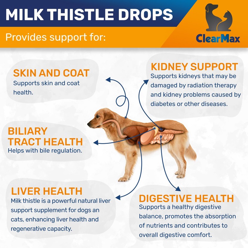 Milk Thistle for Dogs & Cats – Liver Support for