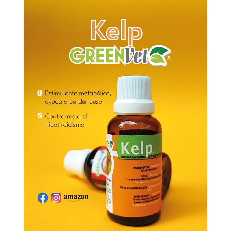 Greenvet Kelp