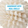 Tumbler Home Real White Seashell Sphere - 3 Inches Wide