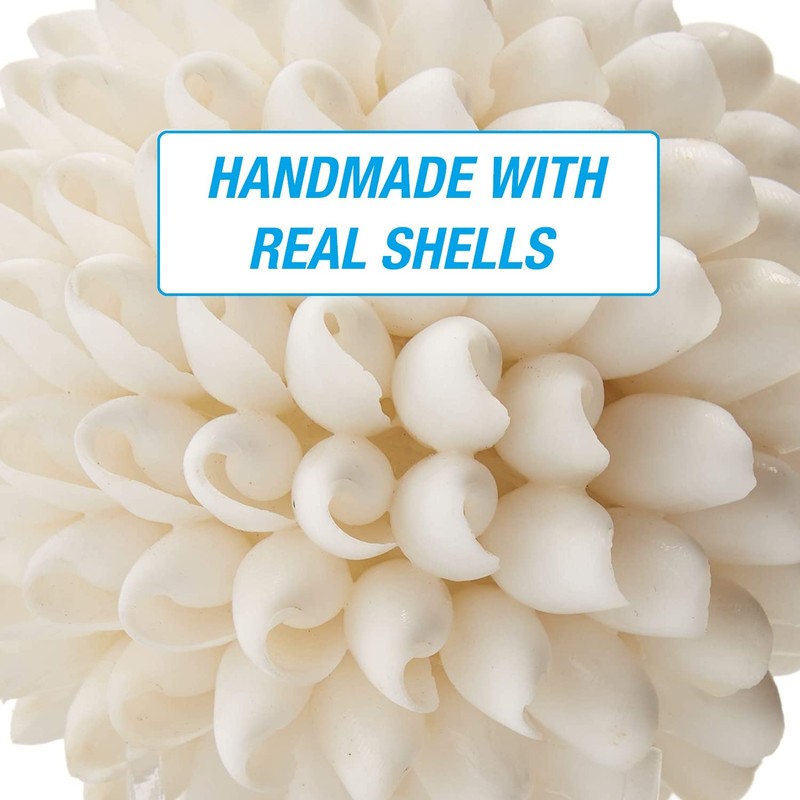 Tumbler Home Real White Seashell Sphere - 3 Inches Wide
