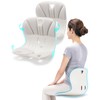 curble Wider 2PACK, Ergonomic Lower Back Chair Support, Lumbar Support