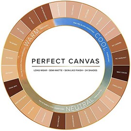Temptu Perfect Canvas Hydra Lock Airbrush Foundation Starter Set, Fair/Light