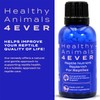 HealthyAnimals4Ever Reptile Nutrient Replenish - Comprehensive Mineral & Vitamin Support