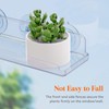Lifewit 15" Acrylic Window Plant Shelves, 2-Pack Suction Cup Shelf