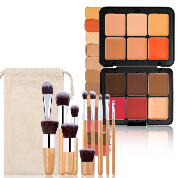 Hinourisha 12 Colours Foundation Concealer Palette + 11 Makeup Brushes,