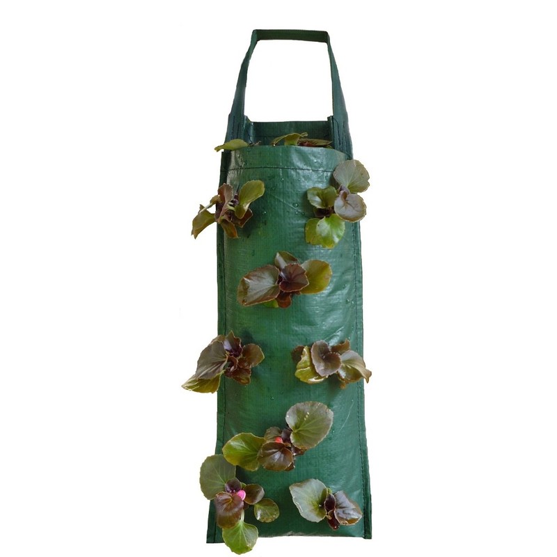 Nutley's Hanging Strawberry Flower Bag Planter Pouch grow fruit herbs