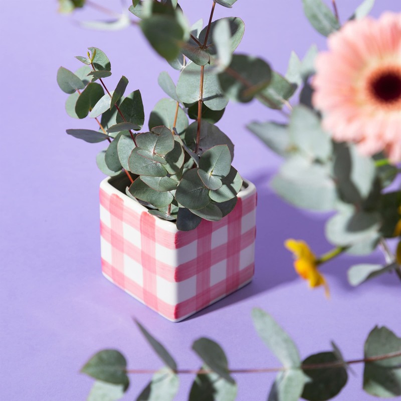 Sass & Belle Gingham Planter Pink