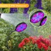USB Remote Control Timing Plant Light Waterproof Full Spectrum Succulent