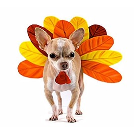 Blue Dog Bakery Pun'Kin Softies, Pumpkin Flavor, 10 Ounces