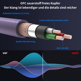 Tertullus HiFi High End Power Cable C15 Power Cable HiFi Audio Cold Device Cable with Schuko Plug and IEC Plug (P046, 1.5 m)