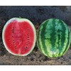FUN AND GROW SEEDS: Seeds Watermelon 33 Heroes Mix Non