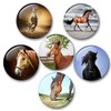 04 Large Fridge Magnets for Memo Board / Notice Board