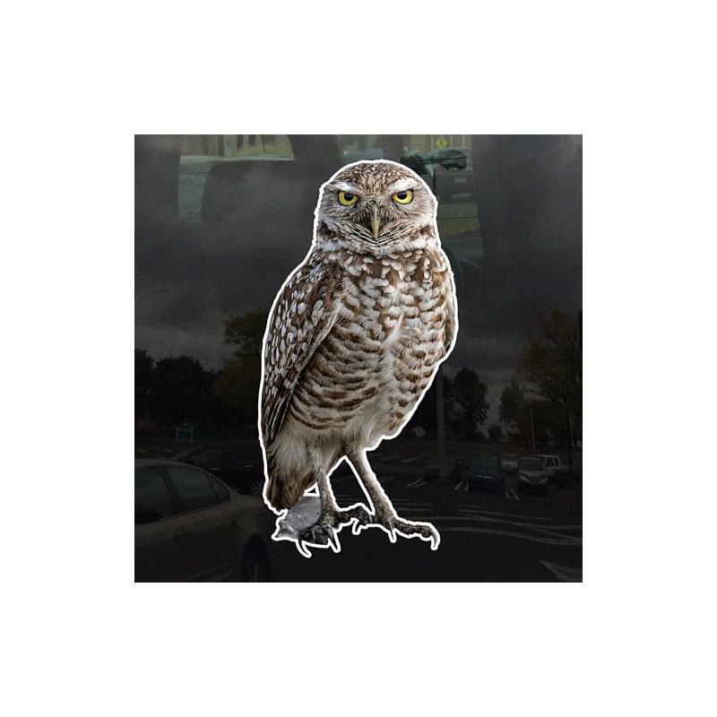 Photo Realistic Owl Window Cling - Vibrant Static Cling Window