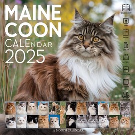  Maine Coon CALENDAR Cats 2025: A Year of Majestic Feline Beauty