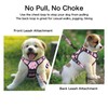 Petmolico No Pull Dog Harness and Leash Set, No Choke