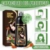 Shampoo para Canas, Hair Dye Shampoo 3 en 1 de