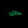 YO-ZURI Egi: Aoli Q RS Squid SP No. 1.6 LRH: