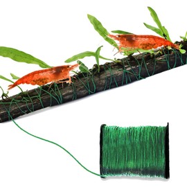 SunGrow Java Moss Cotton Thread, 20 Meters, Green Color, Dissolves Eventually, Securely Attaches Floating Plants Riccia, Fern to Driftwood