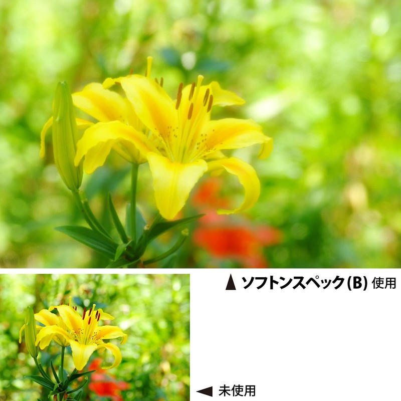 Kenko レンズフィルター ソフトン・スペック(B) 67mm ソフト描写用 367278