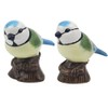 Lesser & Pavey Salt & Pepper Set for All Types