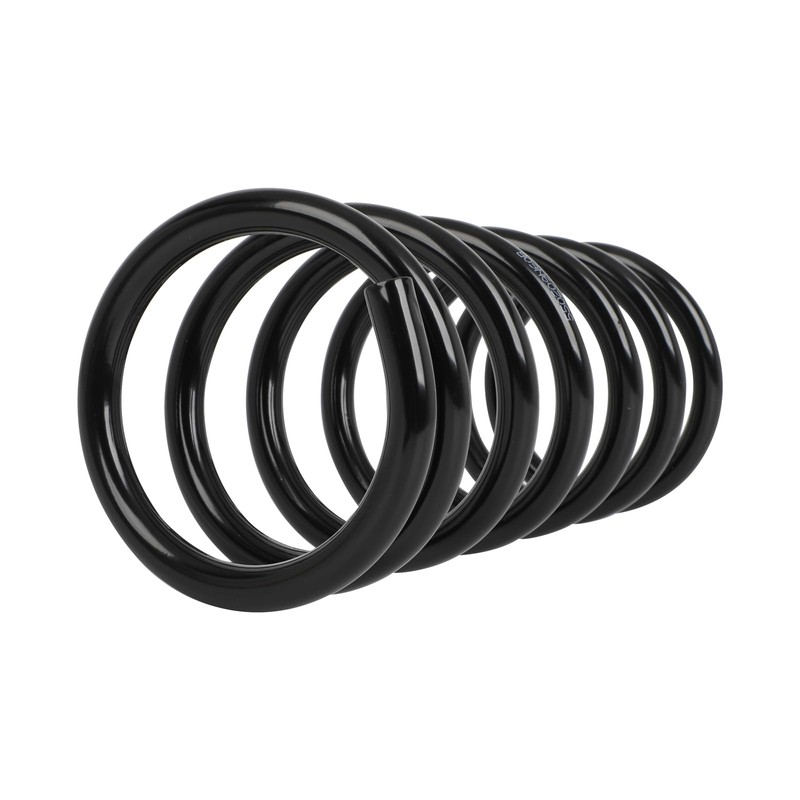 TFGCSG 2pcs Rear Pair Suspension Coil Spring for 2009-2014 for