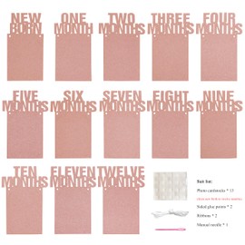 First Birthday Photo Banner Girl Boy1st Birthday Photo Banner Baby Growth Record 1-12 Month Pictures Monthly Milestone Letters Photograph Garland for Newborn Baby's Birthday Decorations (Rose Gold)