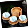 Gatuida 4Pcs Rattan Woven Heat Insulation Mats Handmade Coasters Bowl
