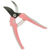 Cactus cushion with pruning shears P-32