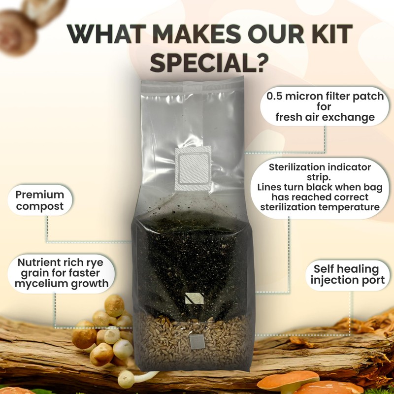 MycoHaus Mushroom All in One Growing Kit with Injection Ports