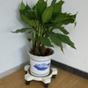 CNQLIS 5 Gallon Bucket Dolly with 5 Smooth-Rolling Swivel Casters,75