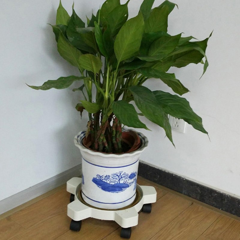 CNQLIS 5 Gallon Bucket Dolly with 5 Smooth-Rolling Swivel Casters,75