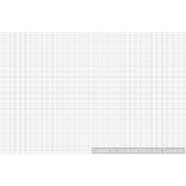 25 sheets - Large Format Graph Paper 1/4" scale Black Ink (7 Different Sizes) - 36" x 48"