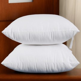 WavingSpark Set of 2, 20 x 20 Inches Throw Pillow Inserts, Square Decorative Couch Sofa Pillow Inserts