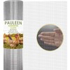 PAULEEN Hardware Cloth 1/4Inch 48inX50ft 23Gauge.Hot Dipped Galvanized After Welded,Chicken