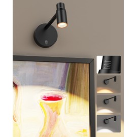 PESUTEN Zoomable Picture Light for Wall, Battery Operated Art Light for Paintings CCT Dimmable Spotlight for Wall Art Wall Light with Remote Control for Living Room Gallery Dartboard Bathroom