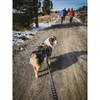 Non-stop dogwear Bungee Touring Leash, 2.m/ Width 2.3 cm