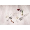 Schott Zwiesel Tulip German Crystal Glass Red Wine Glass, 17