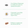 The Nue Co. Magnesium Gut Barrier+ Powder - Sleep Tonic