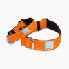 DF Co. Tactical Dog Collar | Comfortable & Secure with
