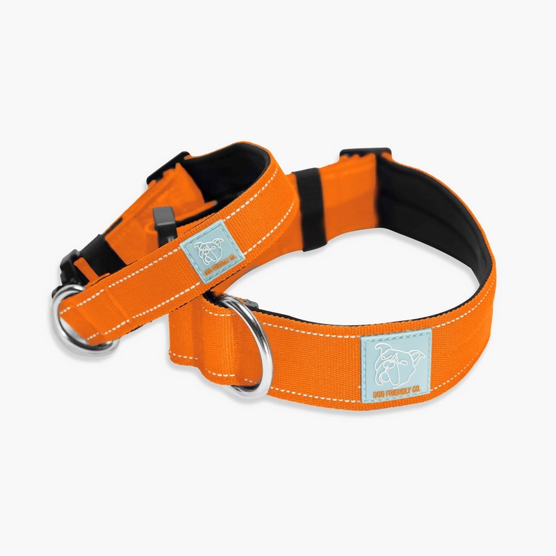 DF Co. Tactical Dog Collar | Comfortable & Secure with