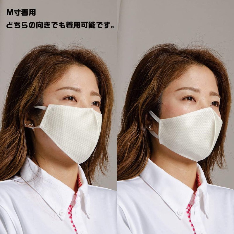 Reward AC502 C3 Clean Mesh Mask, Gray, Large, Made in