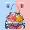 FlowFly Insulated Lunch Cooler Bag - Tote Bag Organizer for