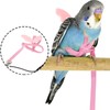 Outdoor Pet Bird Cute Harness Leash Parrots Flying Training Adjustable