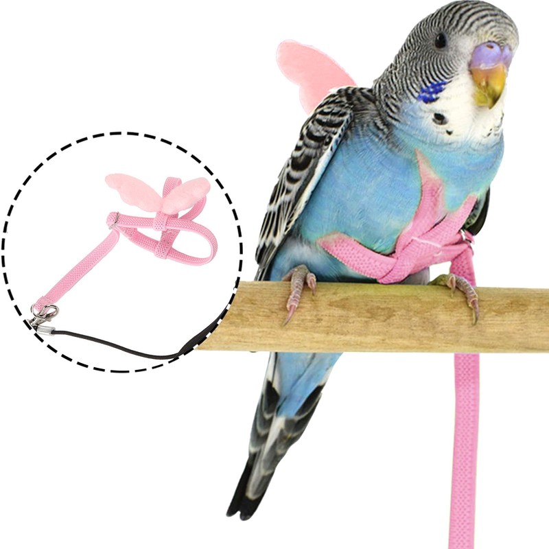 Outdoor Pet Bird Cute Harness Leash Parrots Flying Training Adjustable
