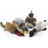 Multipet #37762 Canada Goose Dog Toy