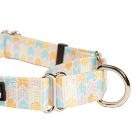 Downtown Pet Supply - Martingale Collar for Dogs - Dog Training Collar - Big, Wide & Thick Dog Collar - Escape-Proof, Weatherproof, Durable and Comfortable - Chevron - Large Dog Collar