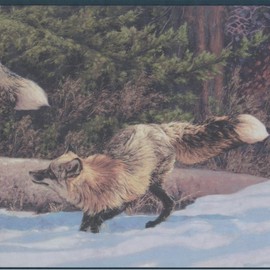 CONCORD WALLCOVERINGS ™ Wallpaper Border Nature Pattern Forest Snow Foxes for Cottage Farmhouse, Brown Green Blue, 15 Feet by 10.25 Inches CW102792